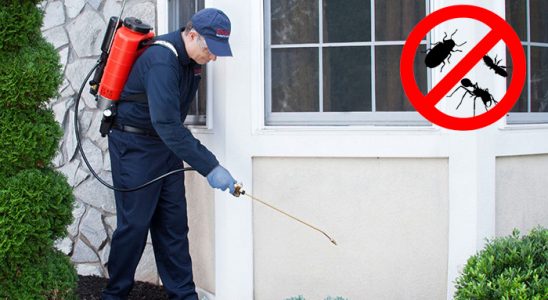 Evka 3 Böcek ve Haşere İlaçlama böcek ilaçlama ve haşere kontrolü — ilaclama-tr.com